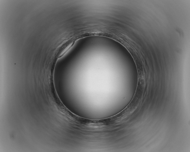 X0000112040556200908101404
