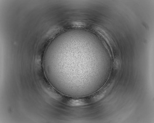 X0000112040557200908101404