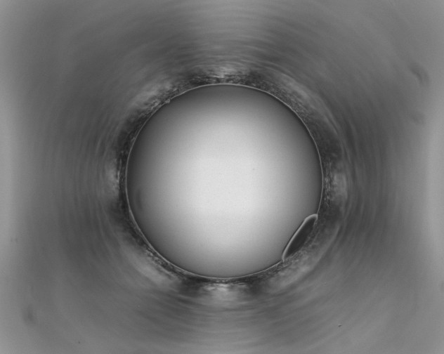 X0000112040558200908101404