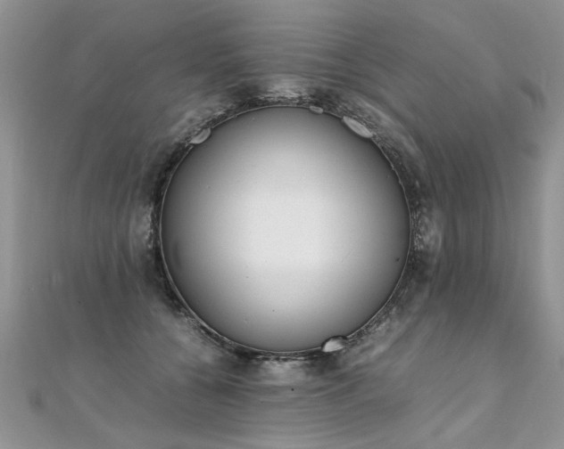 X0000112040560200908101404