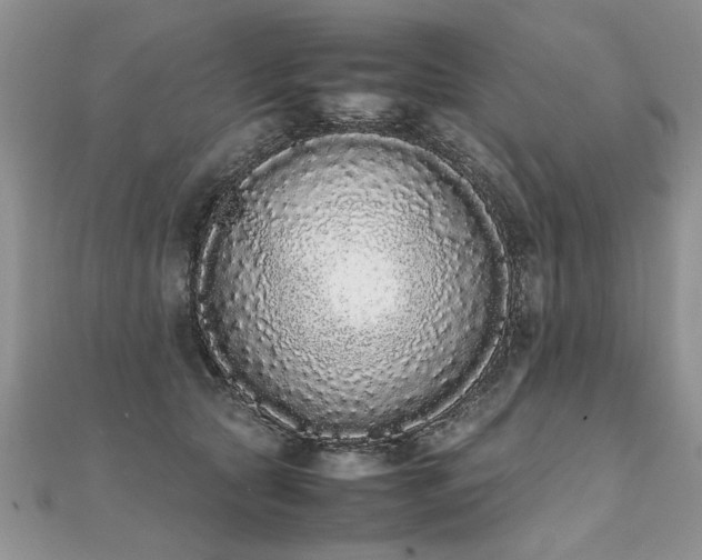 X0000112040561200908101404