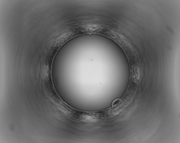 X0000112040563200908101404
