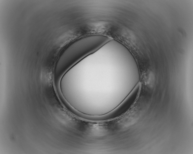 X0000112040564200908101404