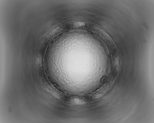 X0000112040565200908101404