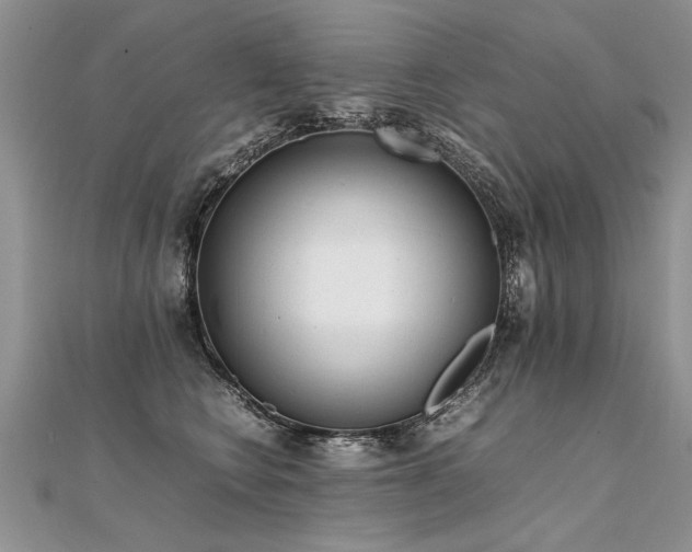 X0000112040566200908101404