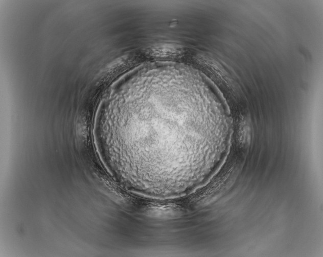 X0000112040569200908101404