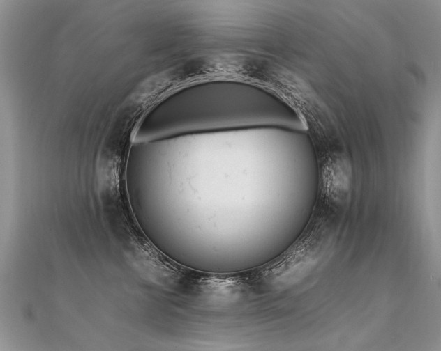 X0000112040570200908101404