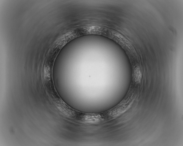 X0000112040571200908101404