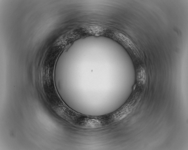 X0000112040572200908101404