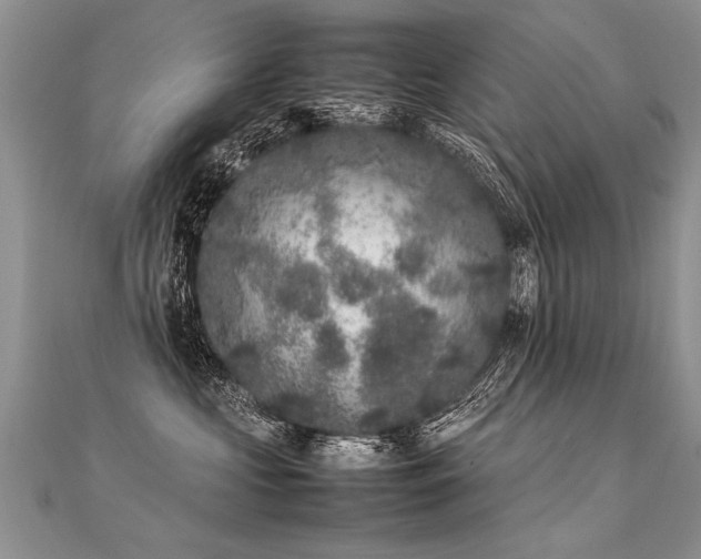 X0000112040573200908101404