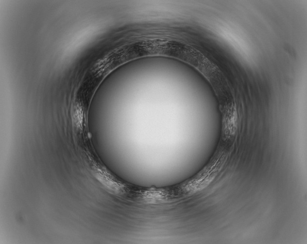 X0000112040574200908101404