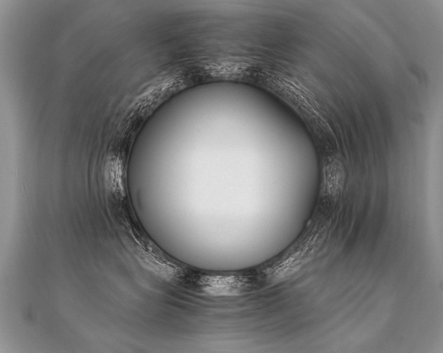X0000112040575200908101404