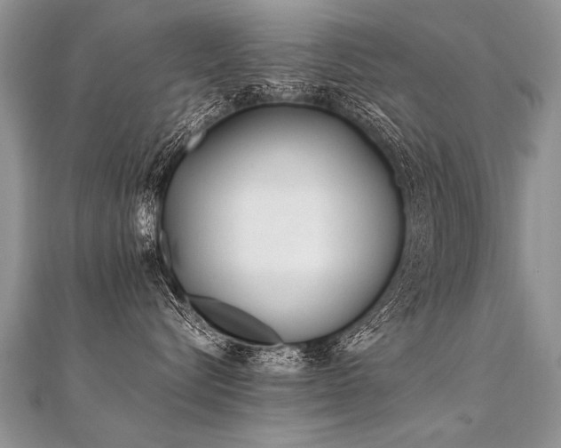 X0000112040576200908101404