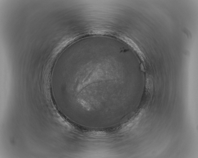 X0000112040577200908101403