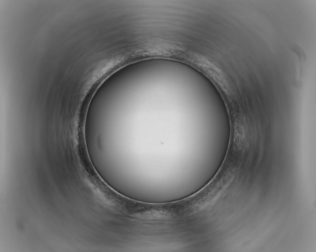 X0000112040578200908101403