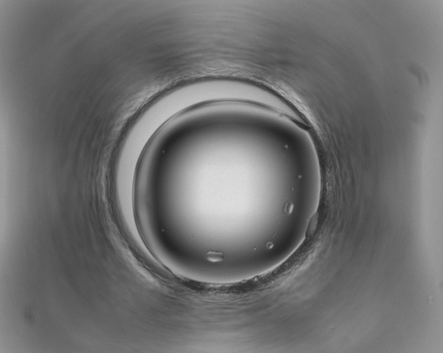 X0000112040581200908101403