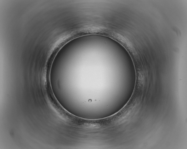 X0000112040582200908101403