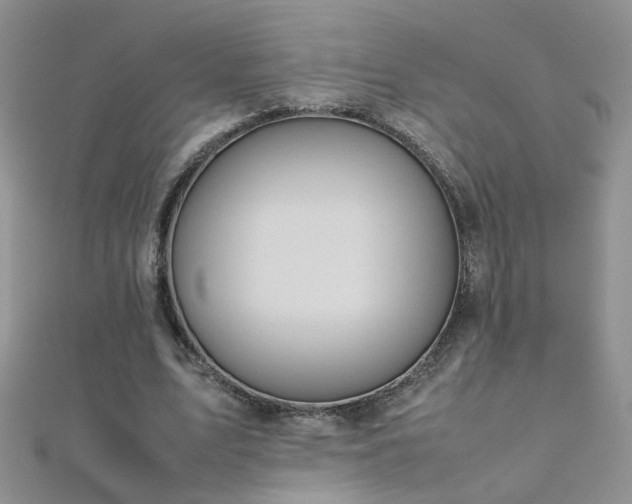 X0000112040583200908101403