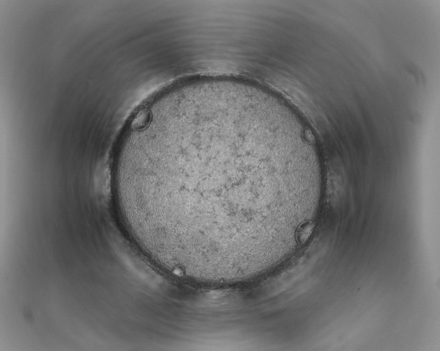 X0000112040584200908101403