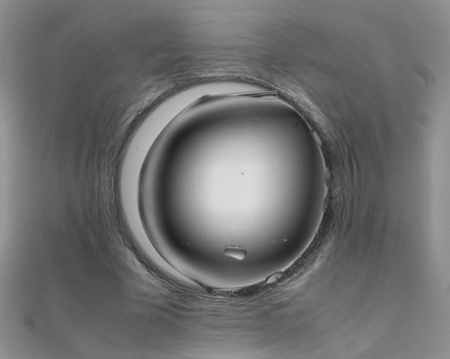 X0000112040585200908101403