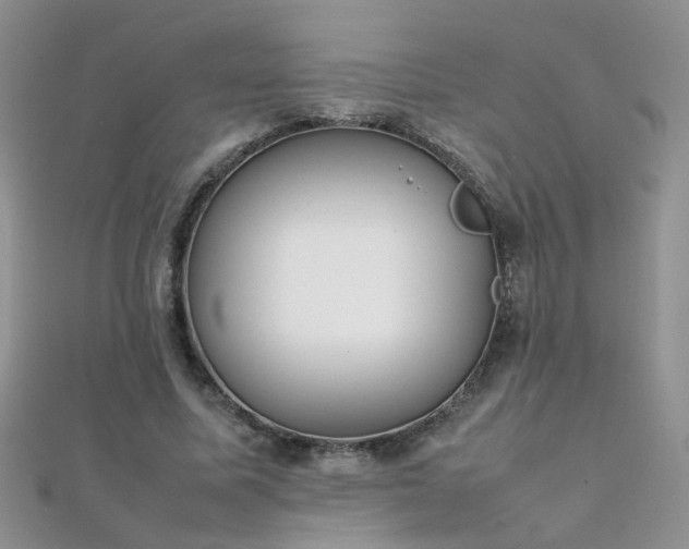 X0000112040587200908101403