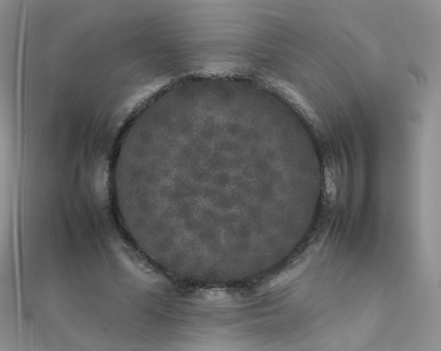 X0000112040588200908101403