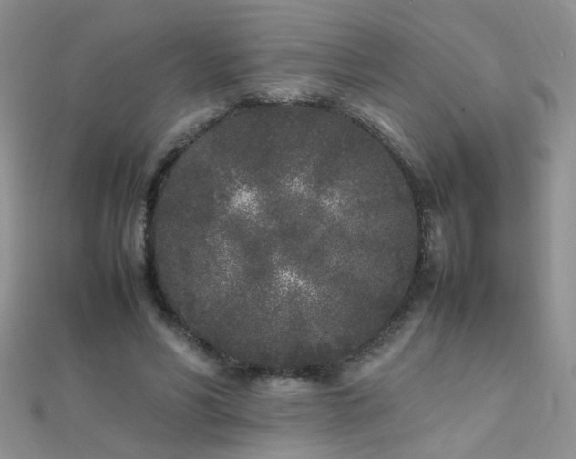 X0000112040590200908101403