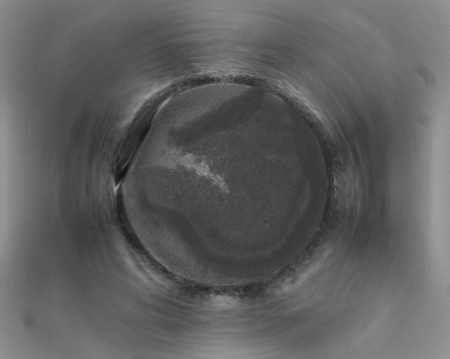 X0000112040592200908101403