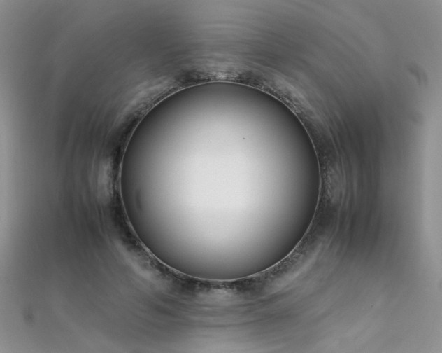 X0000112040594200908101403