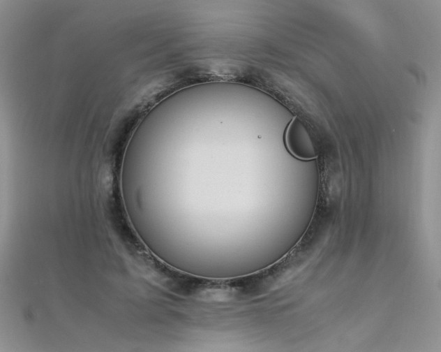 X0000112040595200908101403