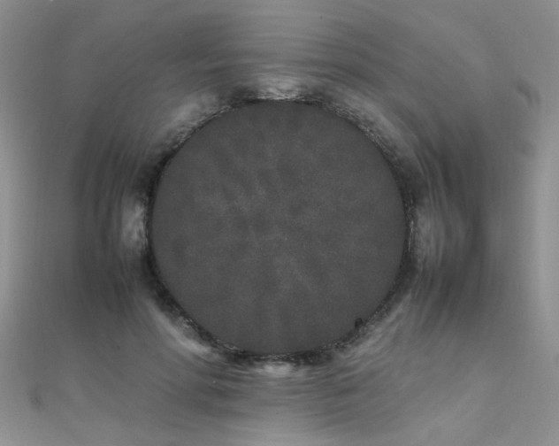 X0000112040598200908101403
