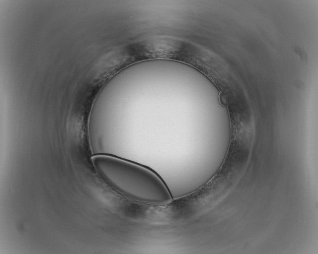 X0000112040599200908101403