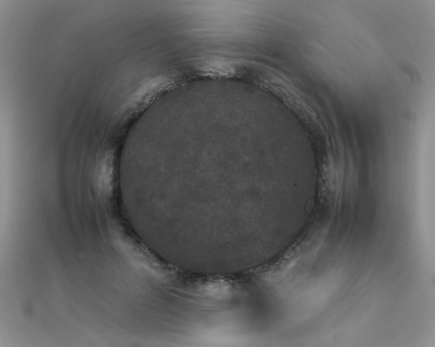 X0000112040600200908101403