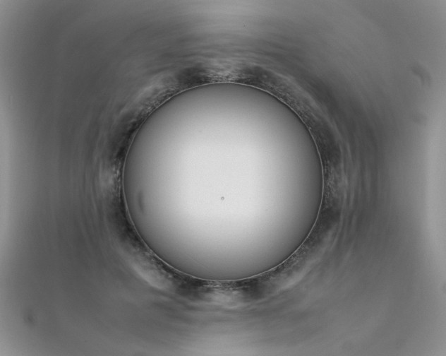 X0000112040601200908101403