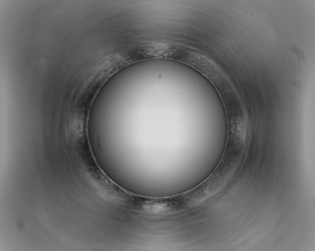 X0000112040602200908101403