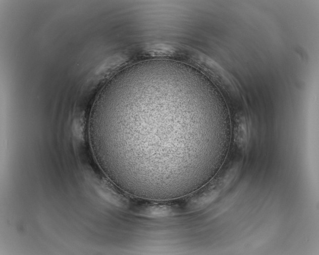X0000112040604200908101403