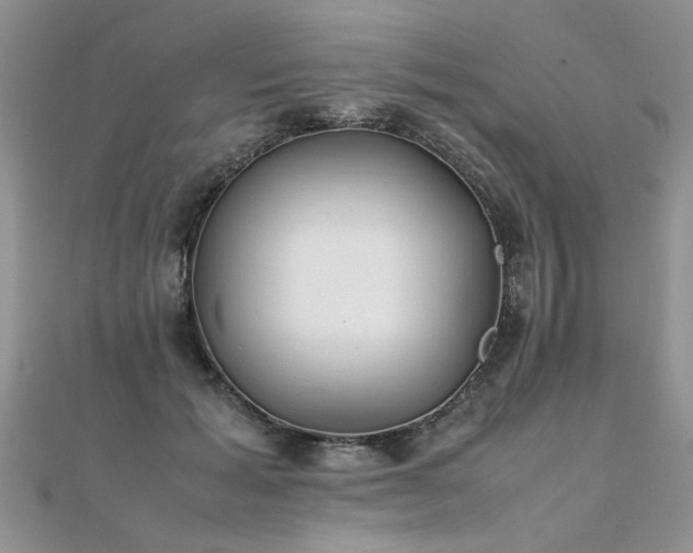 X0000112040605200908101403