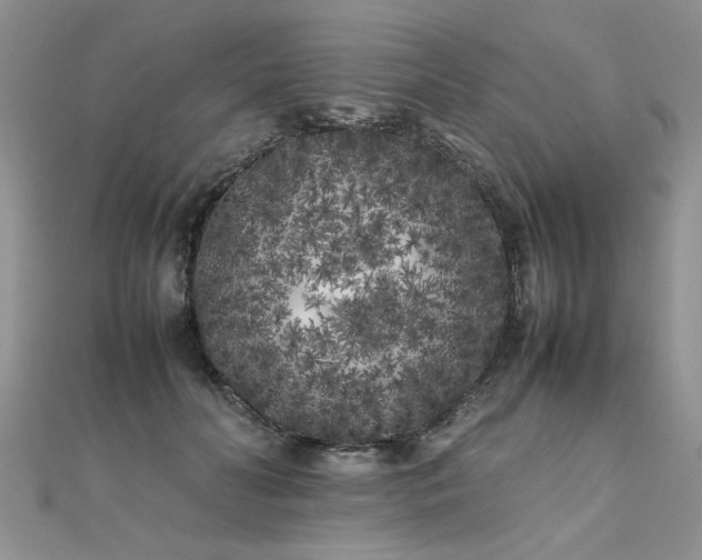 X0000112040606200908101403