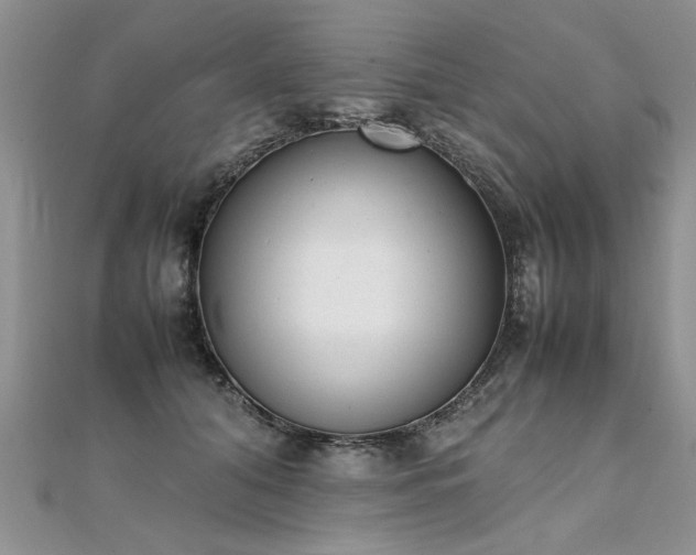 X0000112040608200908101403