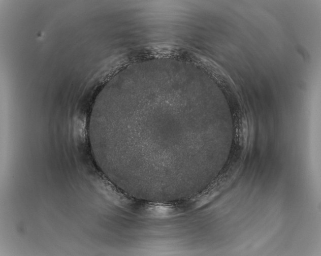 X0000112040610200908101403