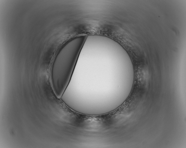 X0000112040611200908101403