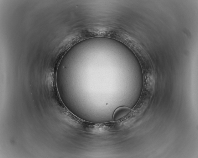 X0000112040612200908101403