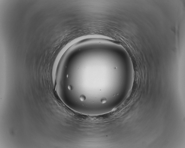 X0000112040613200908101403