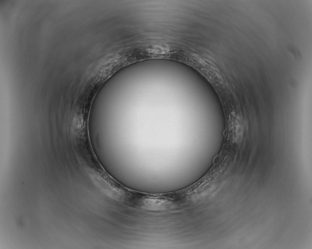 X0000112040614200908101403