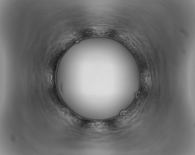 X0000112040615200908101403