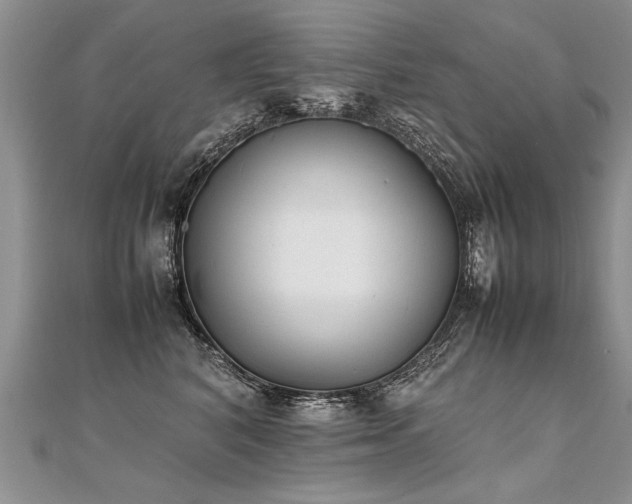 X0000112040616200908101403