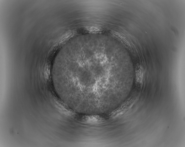 X0000112040618200908101403