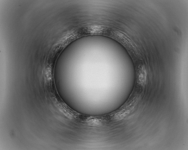 X0000112040620200908101403