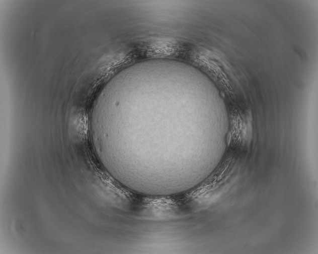 X0000112040621200908101402