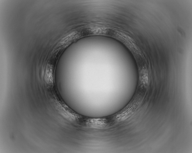 X0000112040622200908101402